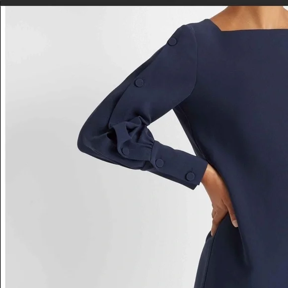 **NWT** Club Monaco Dress - Picture 4 of 10